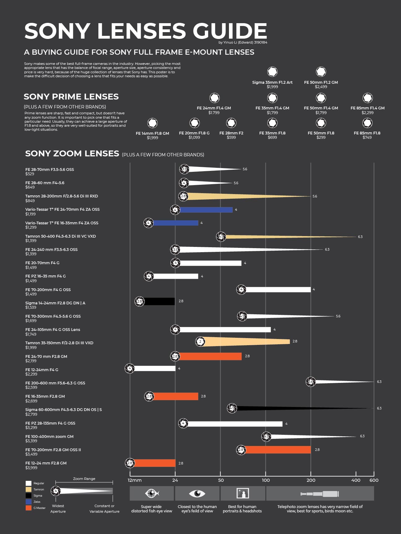 Sony lens data visualization poster